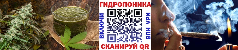 купить закладку  Нахабино  Canna-Cookies марихуана 