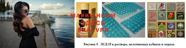 стаф Алексин