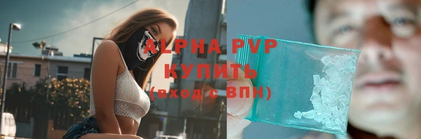 гашик Абаза