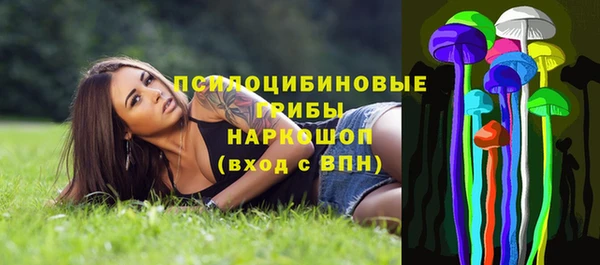 гашик Абаза