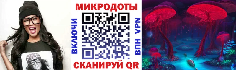 купить наркотики сайты  Нахабино  Псилоцибиновые грибы Psilocybine cubensis 
